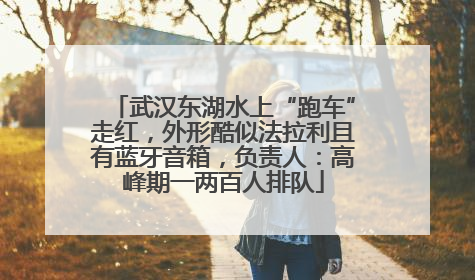 武汉东湖水上“跑车”走红，外形酷似法拉利且有蓝牙音箱，负责人：高峰期一两百人排队
